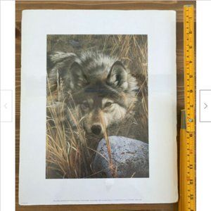 Carl Brenders ONE TO ONE Wolf Art Print 2nd Print 1997 11x14" Nature Wildlife